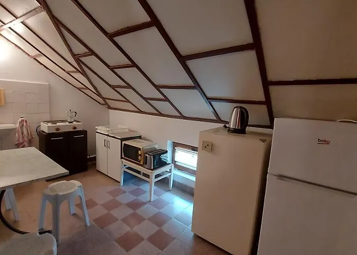 радеви * Obzor